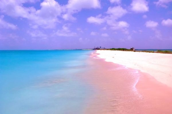Pink Sands Beach, Permata Berpasir Merah Muda di Bahama