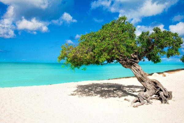 Eagle Beach, Aruba, Permata Karibia yang Memukau