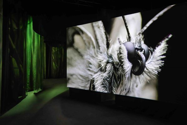 Museum Hibrida Sensorial, Menggabungkan Seni dan Indra Panca